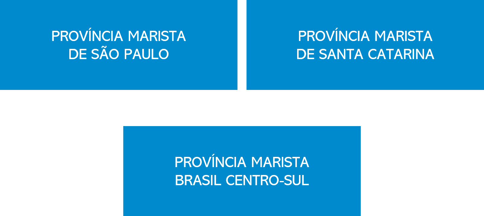 provincia-marista-brasil-centro-sul