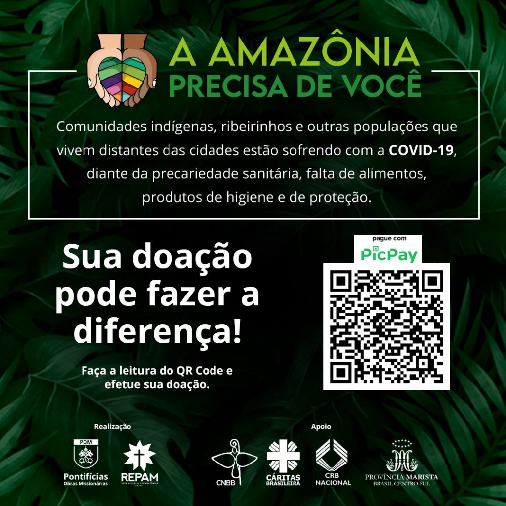 A Amazônia precisa de você - Conta PicPay